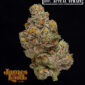 Berries and Cherries white 100_ actual Strain v7
